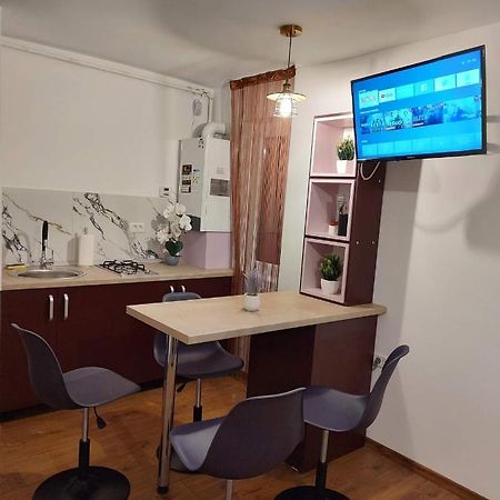 Garsoniera Dania&Petru 1 Apartment ตือร์กูออกนา ภายนอก รูปภาพ