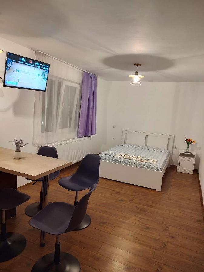 Garsoniera Dania&Petru 1 Apartment ตือร์กูออกนา ภายนอก รูปภาพ
