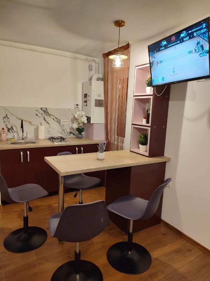 Garsoniera Dania&Petru 1 Apartment ตือร์กูออกนา ภายนอก รูปภาพ