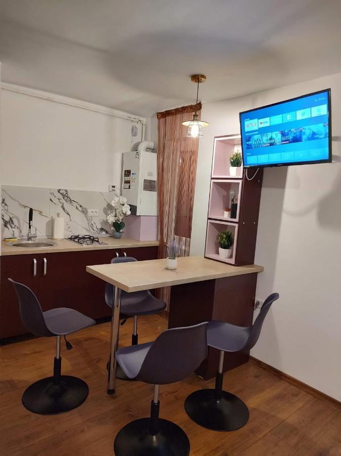 Garsoniera Dania&Petru 1 Apartment ตือร์กูออกนา ภายนอก รูปภาพ